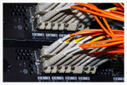 Website Hosting